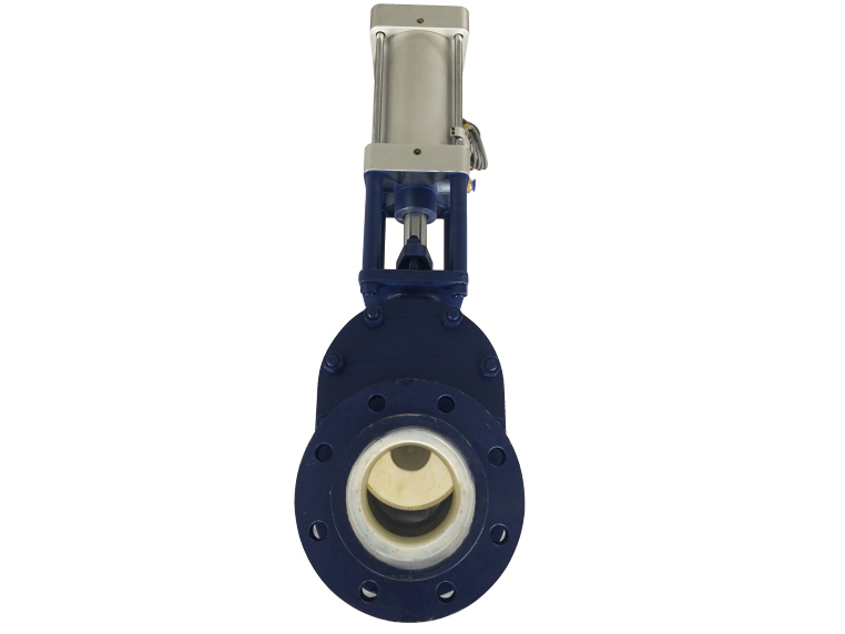 cermaic double disc gate valve