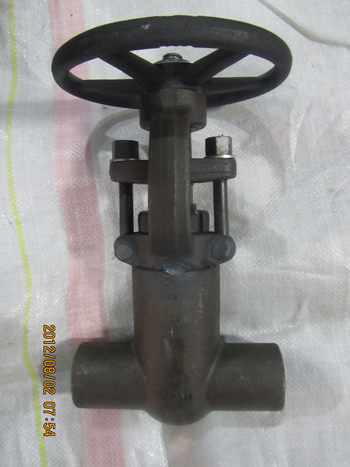 2500lbs SW 1in F22 pressure seal forged gate valves