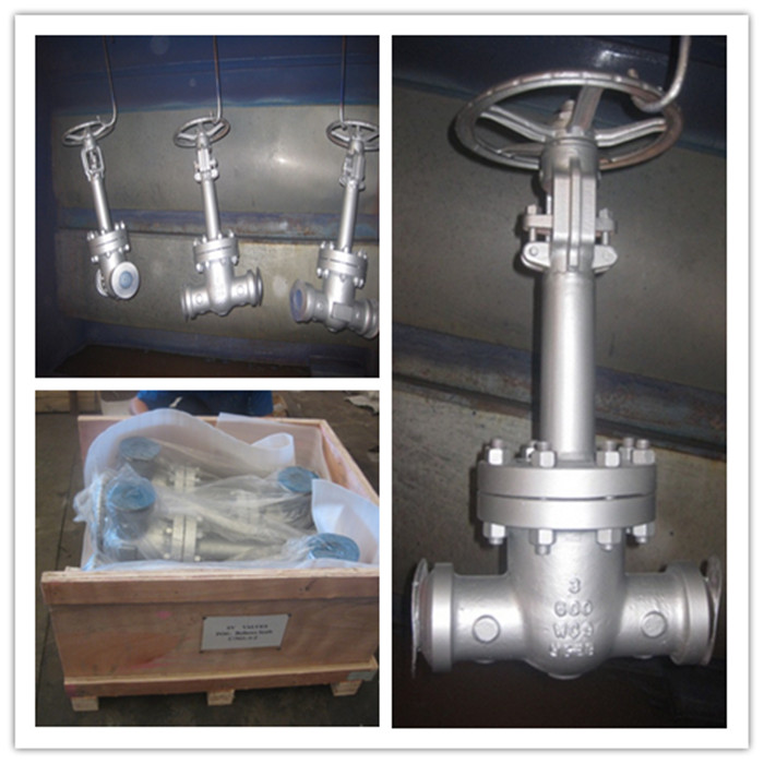 600LBS BW ends 3in WC9 bellows seal gate valves