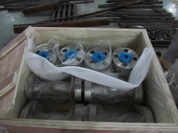  F316 Cryogenic lift type check valves packing