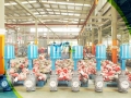 Cryogenic Top Guided Single Seat Globe Control Valve