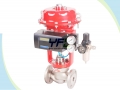 Cryogenic Top Guided Single Seat Globe Control Valve