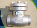 BS 5352 Forged Steel F304L Cryogenic Check Valve