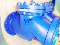API 6D Full Opening Bolted Cover C5 Swing Check Valve