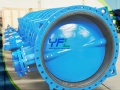 High Peformance Double Offset Soft Seal Butterfly Valve