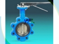 Lugged Concentric Double Shaft Butterfly Valve Without Pin
