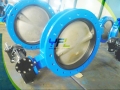 Flanged Center Line Rubber Lined Butterfly Valve