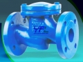 BS 5153 DI Swing Check Valve With Lever And Weight