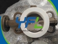PN16 DN100 PTFE Lined Butterfly valve