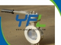 Lever Operated CF8M Body PFA  Lined Butterfly valve