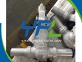 2500#BW 600#BW 3'' C12A Gate Valve Welded With Pipes