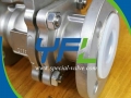 Stainless Steel Body PFA Lined Ball Valve