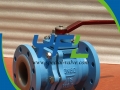 Lever Opearted PTFE Lined Ball Valve