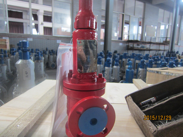 150lbs 1 in flanged WCB Spring Type Safety Valve DHL to Mexico for USA customer