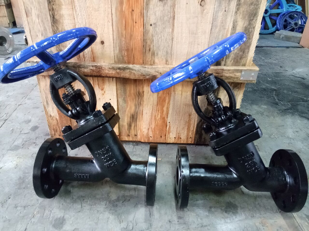  JIS Y Type Globe Valves Exported to Singapore by TNT