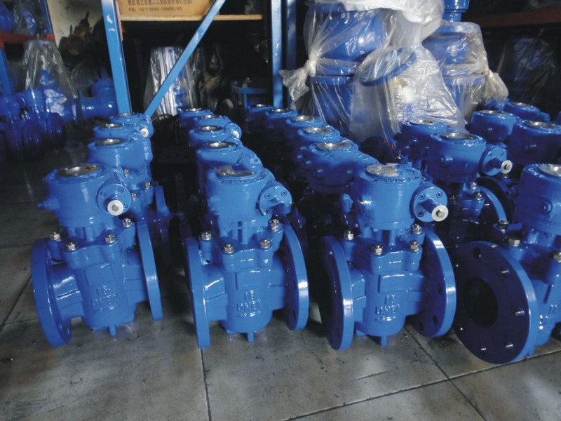 Soft seal eccentric plug valves