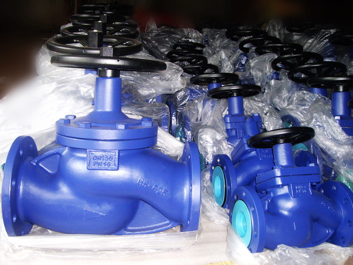 Non rising stem bellows seal globe valves