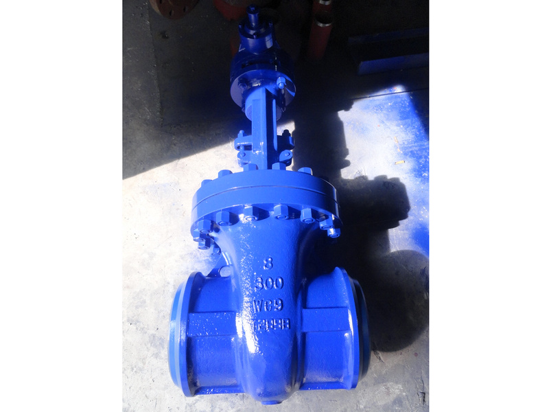 API 600 300#RF WC9 GATE VALVES