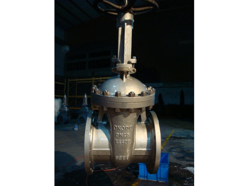 PN25 DN300 1.4408 DIN GATE VALVES