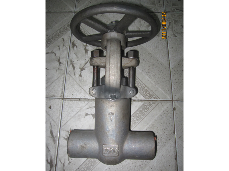 API602 2500lbs 1'' F91 pressure seal bonnet gate valves