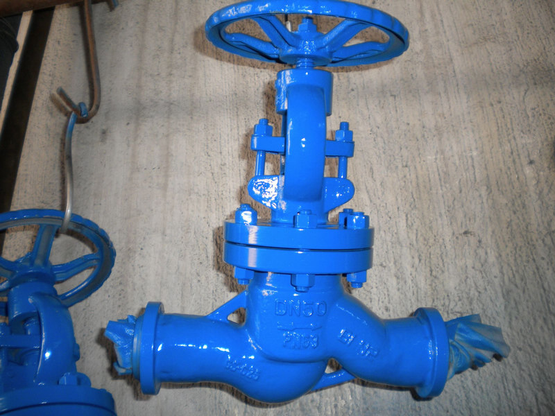 DIN PN 63 DN50 GS-C25 Straight Flow Globe valves