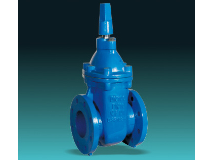 BS 5163 Type B metal seated gate valves