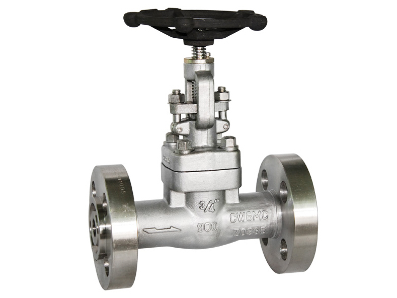 Inconel CW6MC GATE VALVE