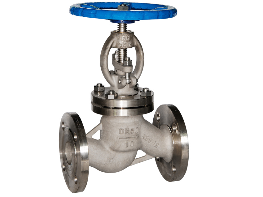 N6 globe valve