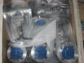 BS5352 F316Ti Forged Globe Valve