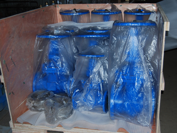 DIN GATE VALVE CHECK VALVE PACKING