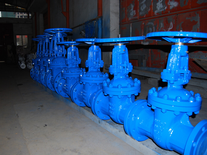 DIN WC6 GATE VALVES