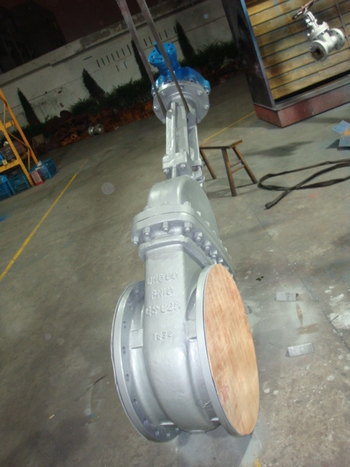 DIN F4 PN10 DN500 GS-C25 GATE VALVE