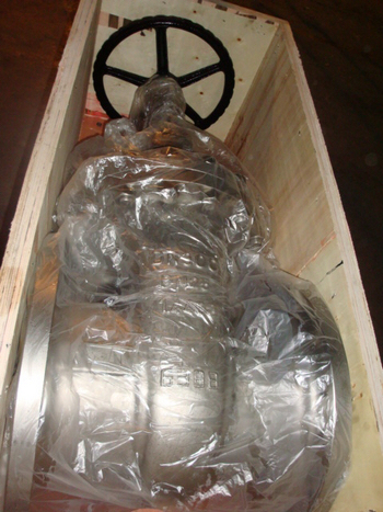 DIN 1.4408 PN25 DN300 GATE VALVE