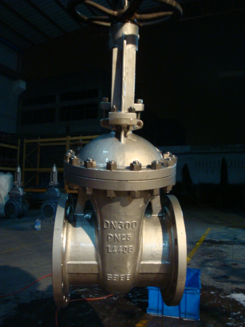 DIN 1.4408 Stainless steel PN25 DN300 GATE VALVE