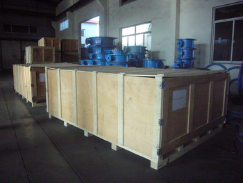 AWWA C504 DN1500 Double Eccentric Double Flanged Butterfly Valve Packing