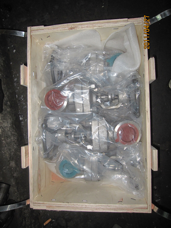904L gate valves packing