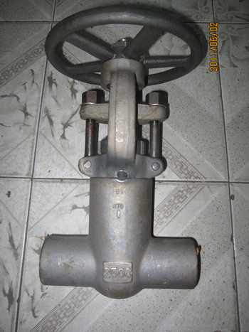 2500lbs SW 1in F91 Pressure seal gate valves