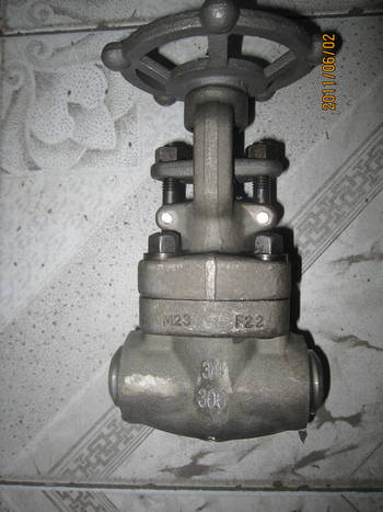 300lbs BW 3/4 in F22 gate valves