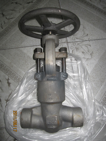 F91 2500lbs SW ends pressure seal globe valves