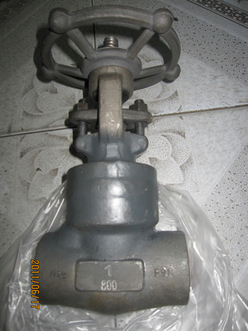 F91 Welded bonnet 800lbs SW ends 1in GATE VALVE