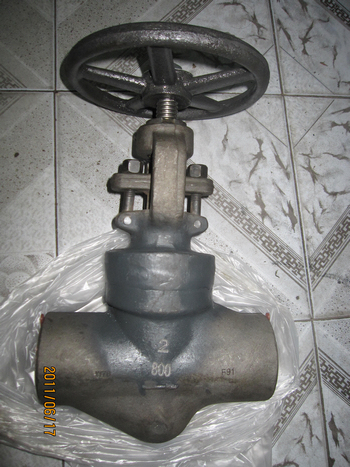 F91 Welded bonnet 800lbs SW ends 2in GLOBE VALVE