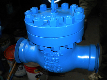 DIN3840 BW ends PN100 DN65 swing check valves