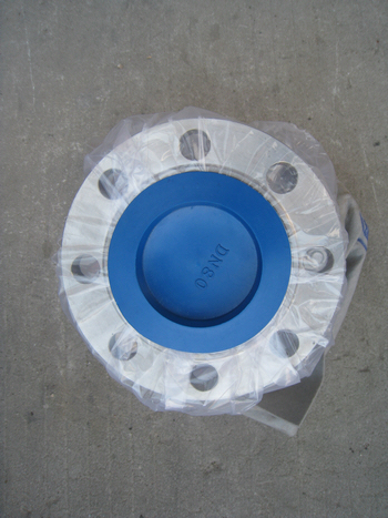SCS 13 foot valve