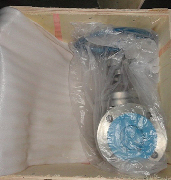 Duplex stainless steel 4A globe valve