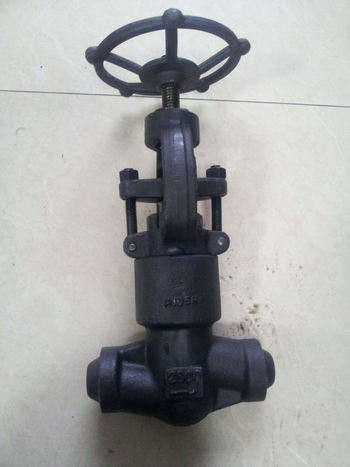 2500lbs 1in pressure seal globe valves