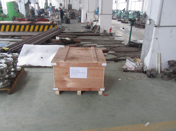  F316 Cryogenic lift type check valves shipping mark