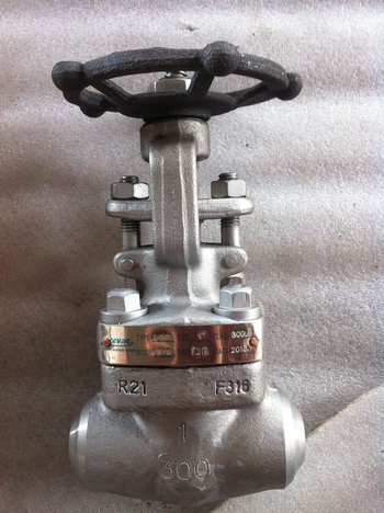 300lbs BW 1 in F316 Forged gate valves