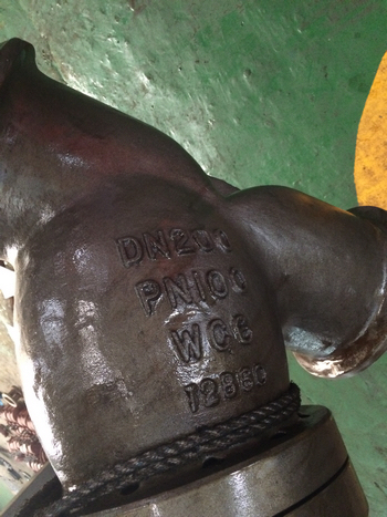 PN100 DN200 WC6 Y type strainer