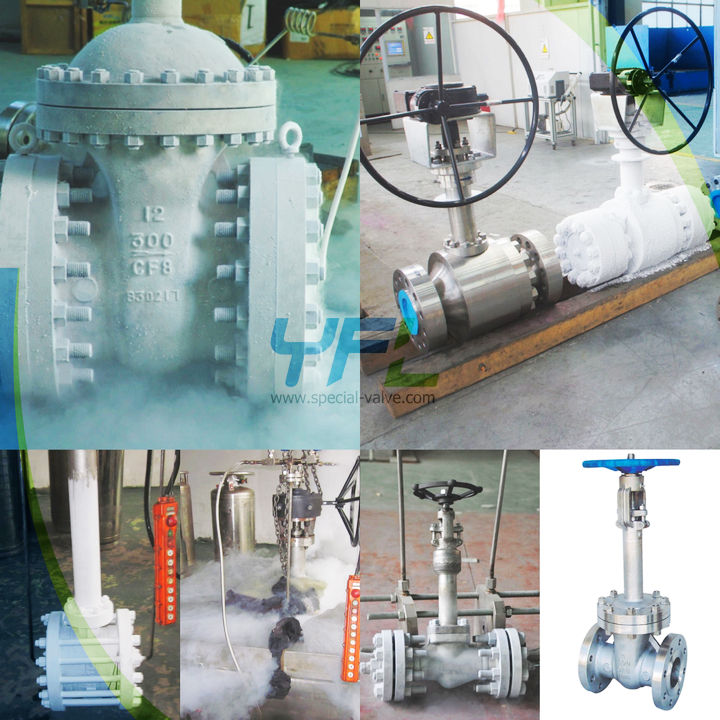 LNG cryogenic valves