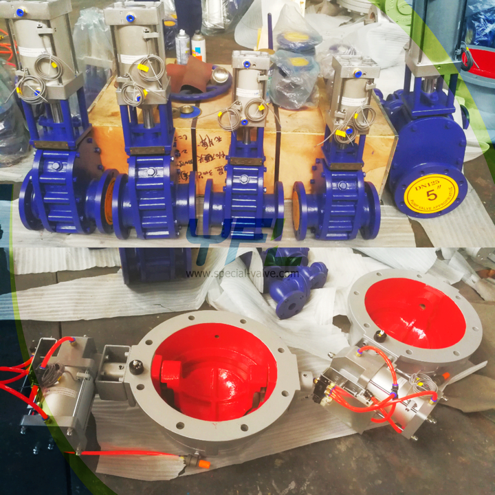 Ceramic double disc gate valve, dome valve